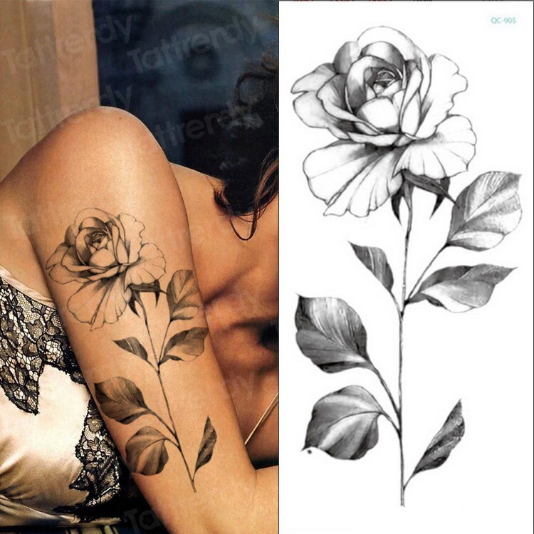 detailed sketch of rose flower with leaves. botanical sketch rose tattoo.